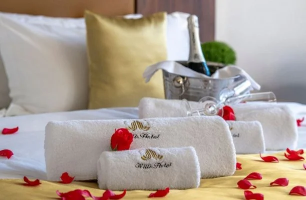 Willis Hotel Business & Wellness Zalaegerszeg