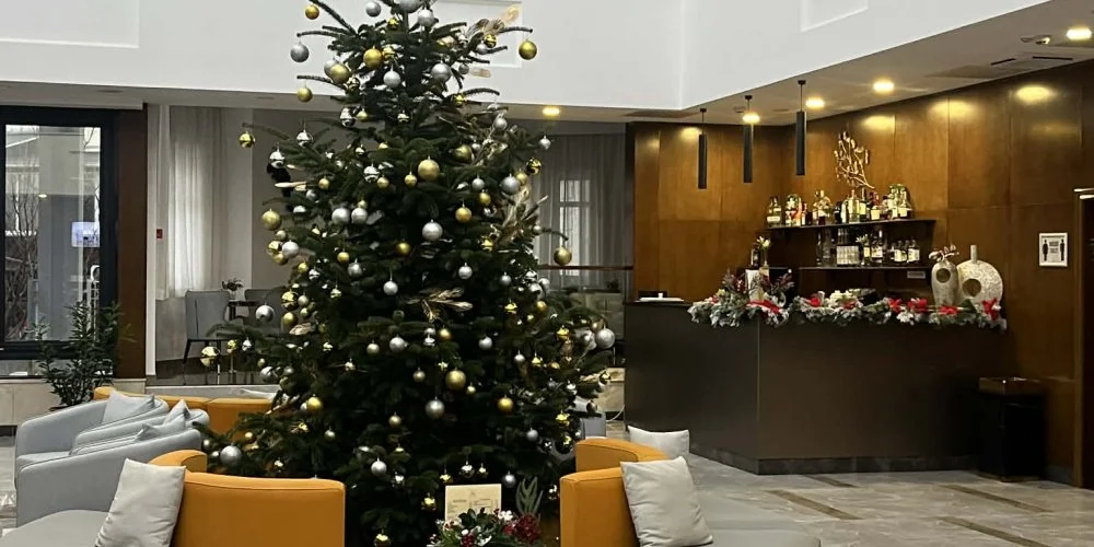 Willis Hotel Business & Wellness Zalaegerszeg