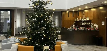 Willis Hotel Business & Wellness Zalaegerszeg - Wellness csomagok kar�csonyra