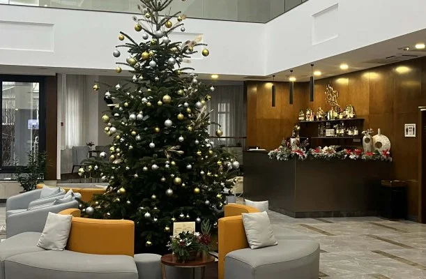 Willis Hotel Business & Wellness Zalaegerszeg Willis Hotel Business & Wellness Zalaegerszeg