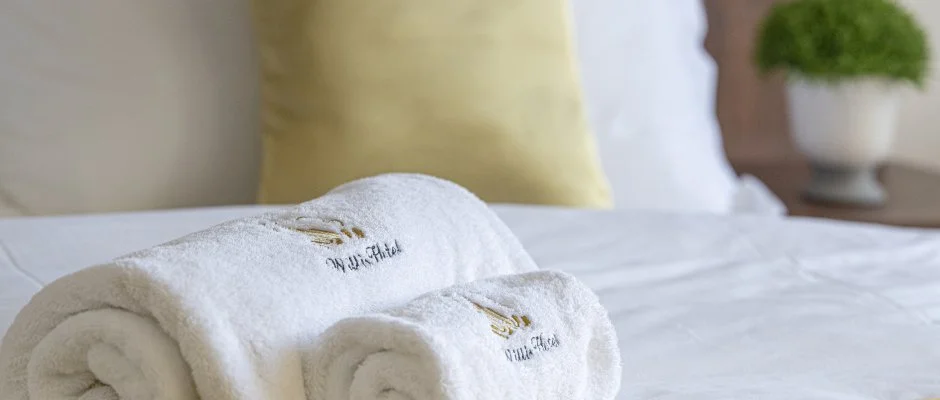 Willis Hotel Business & Wellness Zalaegerszeg