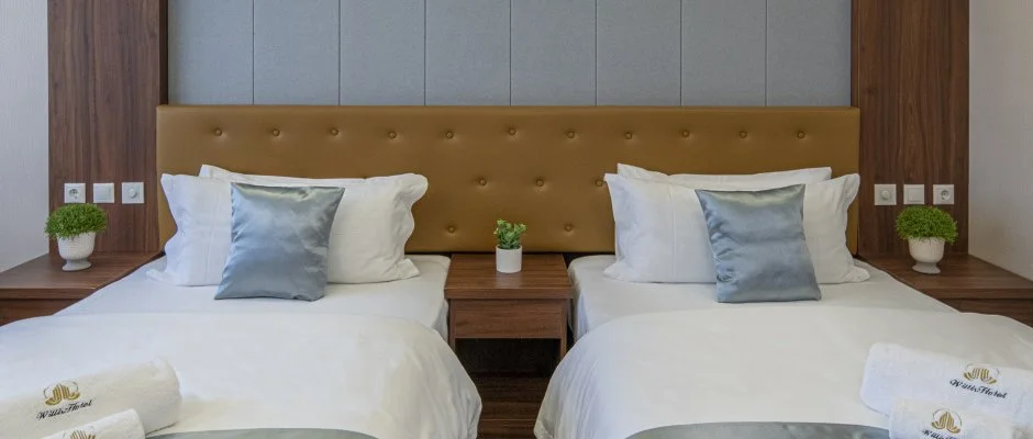 Willis Hotel Business & Wellness Zalaegerszeg