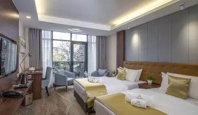 Willis Hotel Business & Wellness Zalaegerszeg