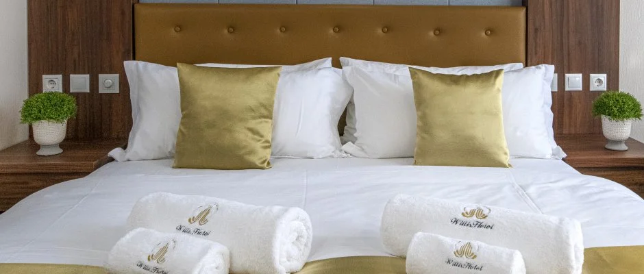 Willis Hotel Business & Wellness Zalaegerszeg