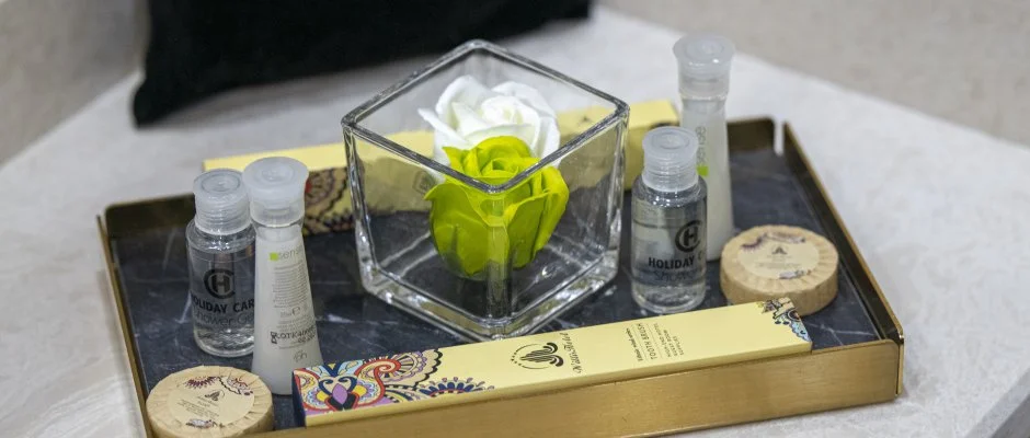 Willis Hotel Business & Wellness Zalaegerszeg