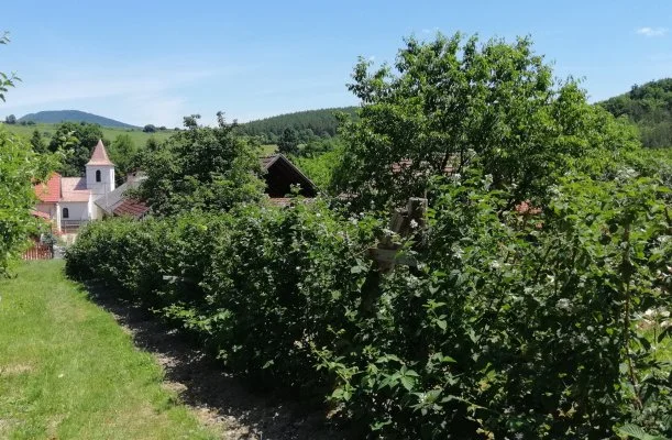 Zempléni Tündérkert Vendégház Füzérkomlós Zempléni Tündérkert Vendégház Füzérkomlós