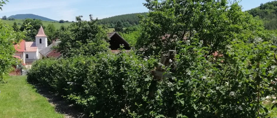 Zemplni Tndrkert Vendghz Fzrkomls