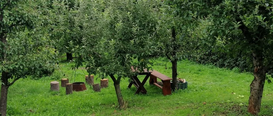 Zemplni Tndrkert Vendghz Fzrkomls