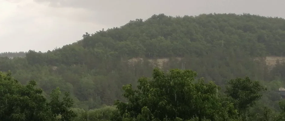 Zemplni Tndrkert Vendghz Fzrkomls