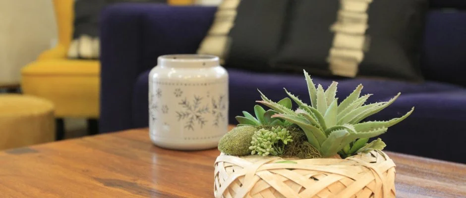 Zenit Panzi Miskolctapolca