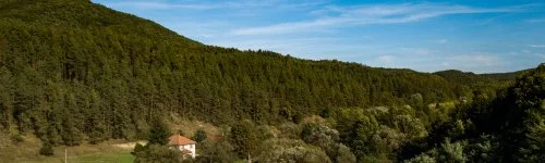 Zldsziget Menedk Rendezvny s Pihenhz 