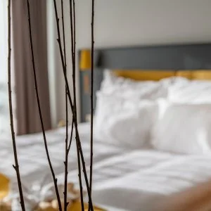 Zsóry Liget Hotel & Spa Mezőkövesd - Két ünnep között (min. 2 éj)