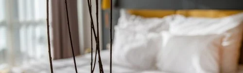 Zsóry Liget Hotel & Spa