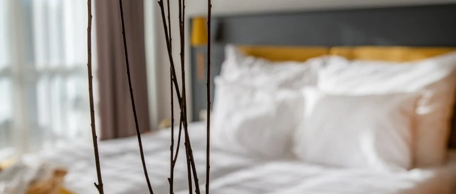 Zsóry Liget Hotel & Spa Mezőkövesd